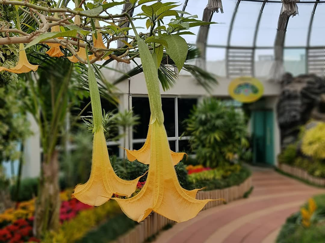 Sanbangsan Biwon Gwangwan Sikmulwon-巨济市必去景点