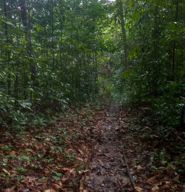 Gunung Gading National Park-隆杜必去景点