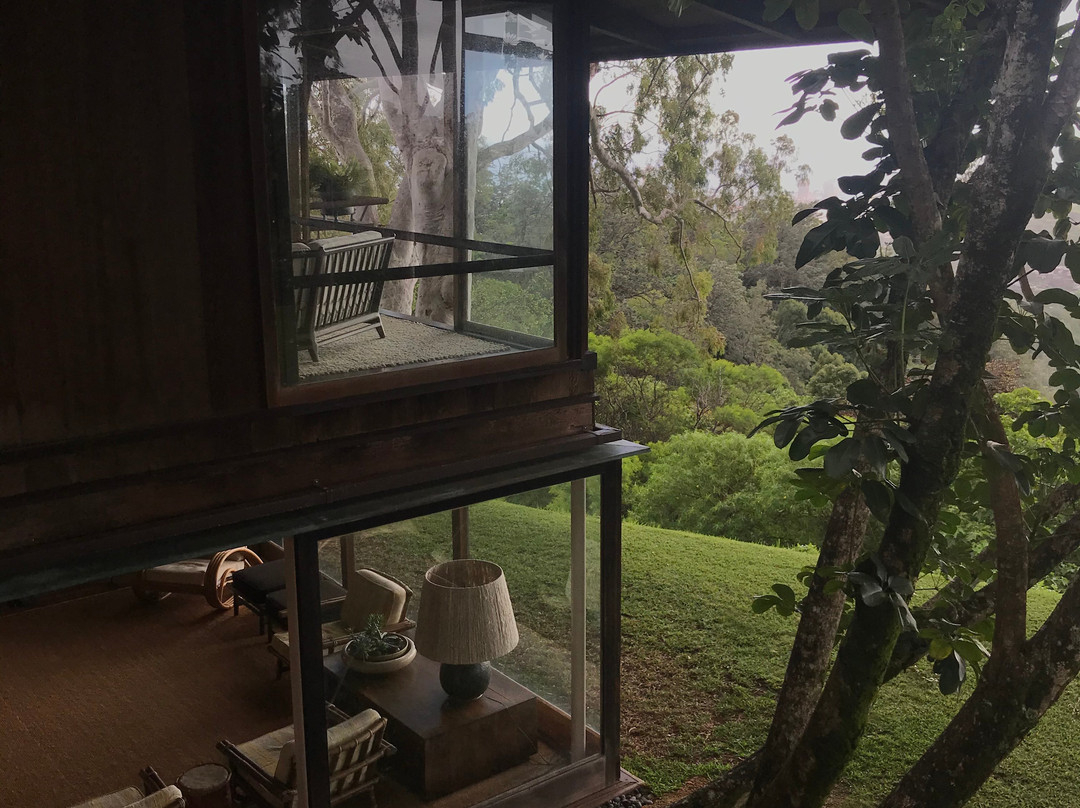 Liljestrand House-火奴鲁鲁必去景点