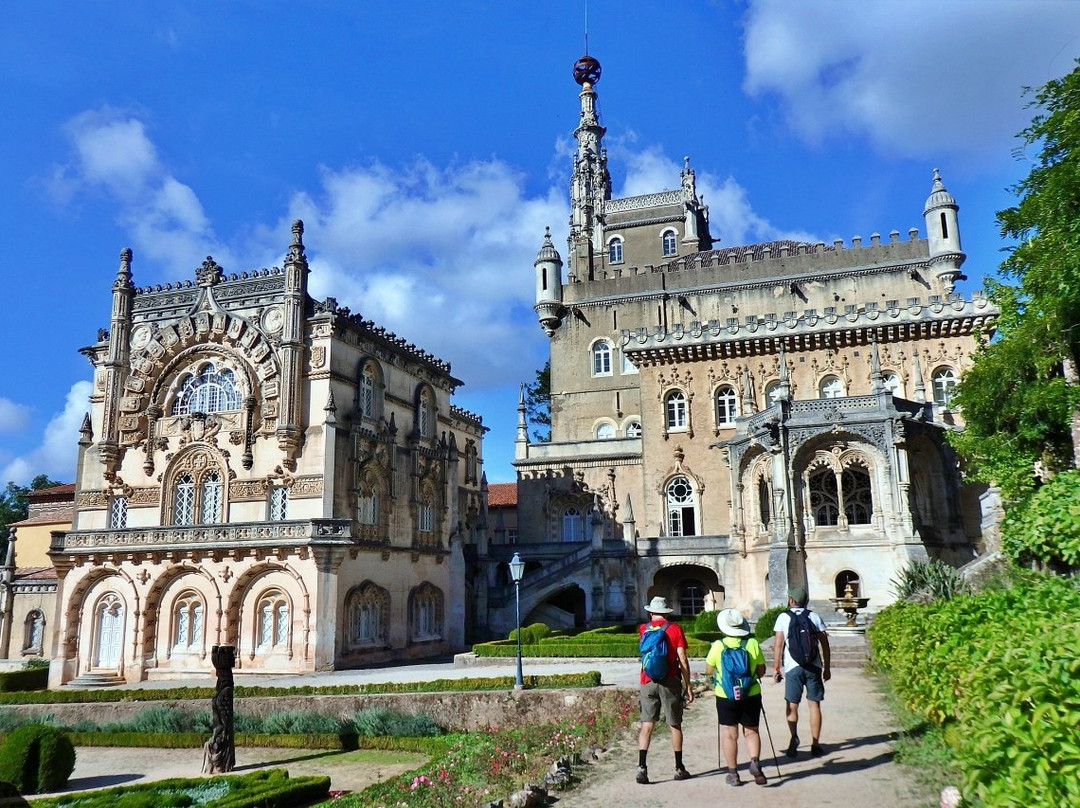 Aventuras Forte(s) - Turismo de Natureza-科英布拉区必去景点