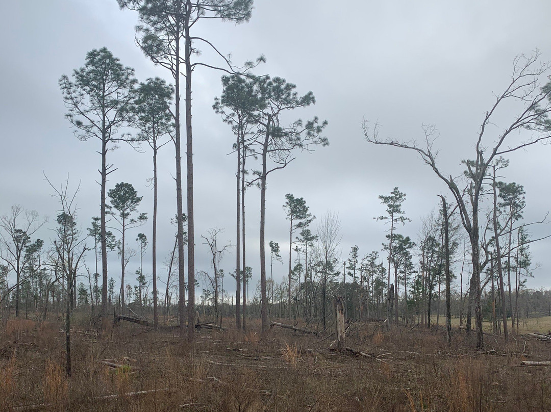 Three Rivers State Park-Sneads必去景点