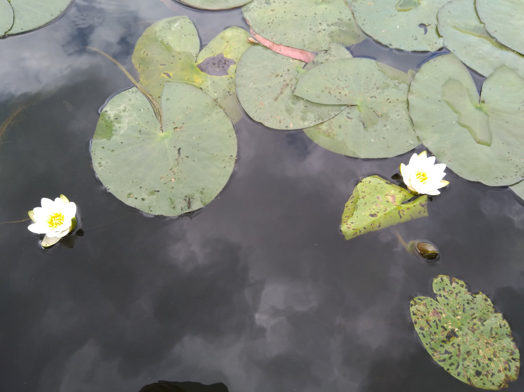 Hotel Verkhnevolzhskiy主图