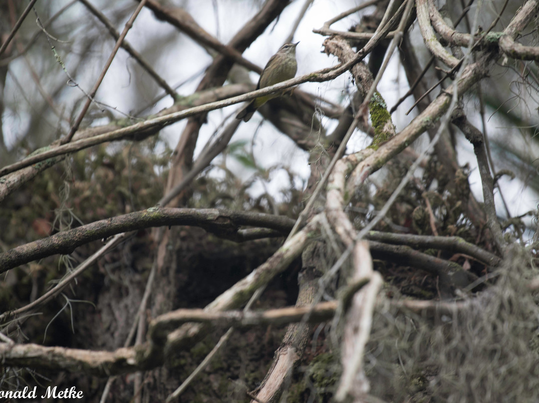 Colt Creek State Park-莱克兰必去景点
