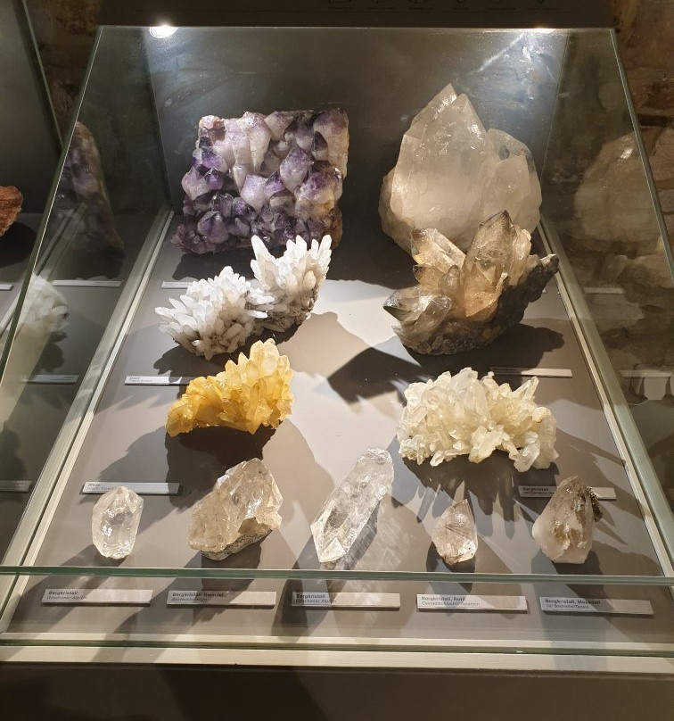Naturkundemuseum-爱尔福特必去景点