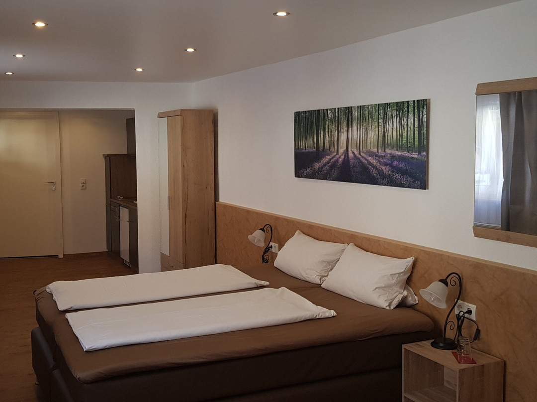 Hotel Boos主图