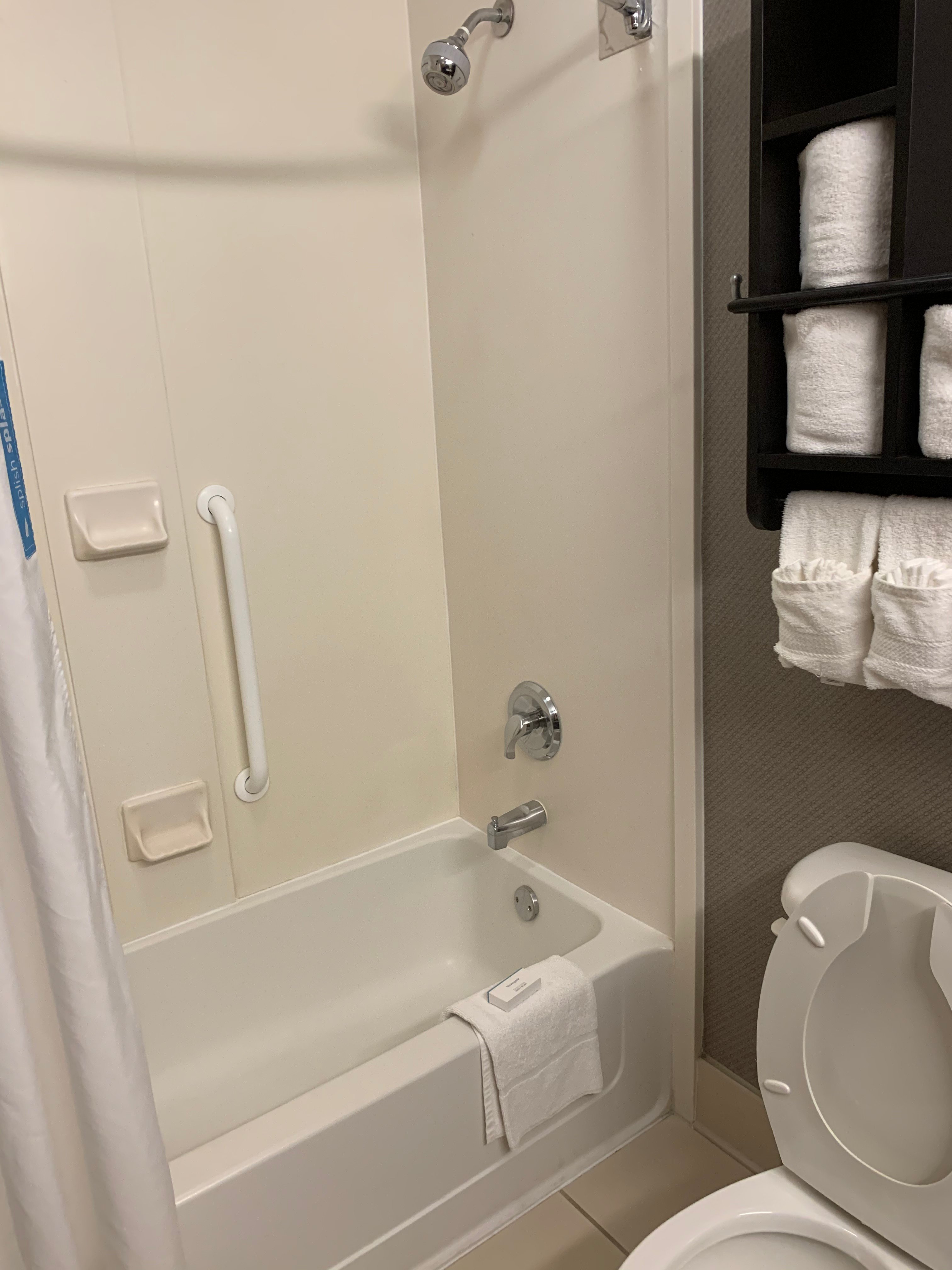 Hampton Inn West Palm Beach Florida Turnpike-浴室