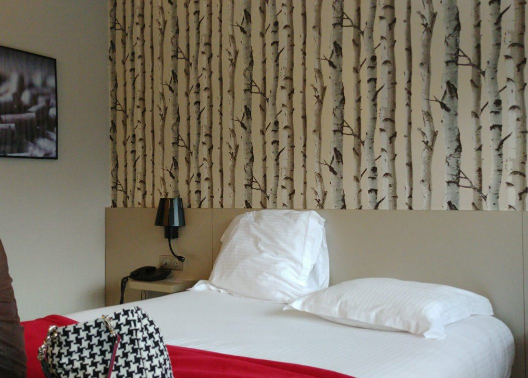 Hotel de Guyenne主图