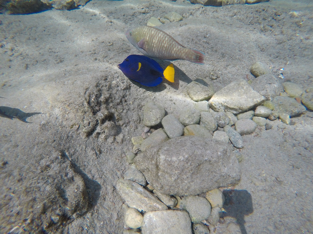 Migdalor Beach-埃拉特必去景点