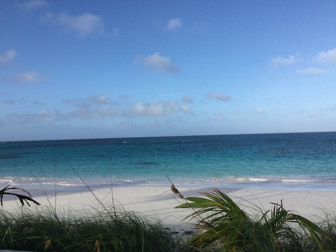 La Bougainvillea主图