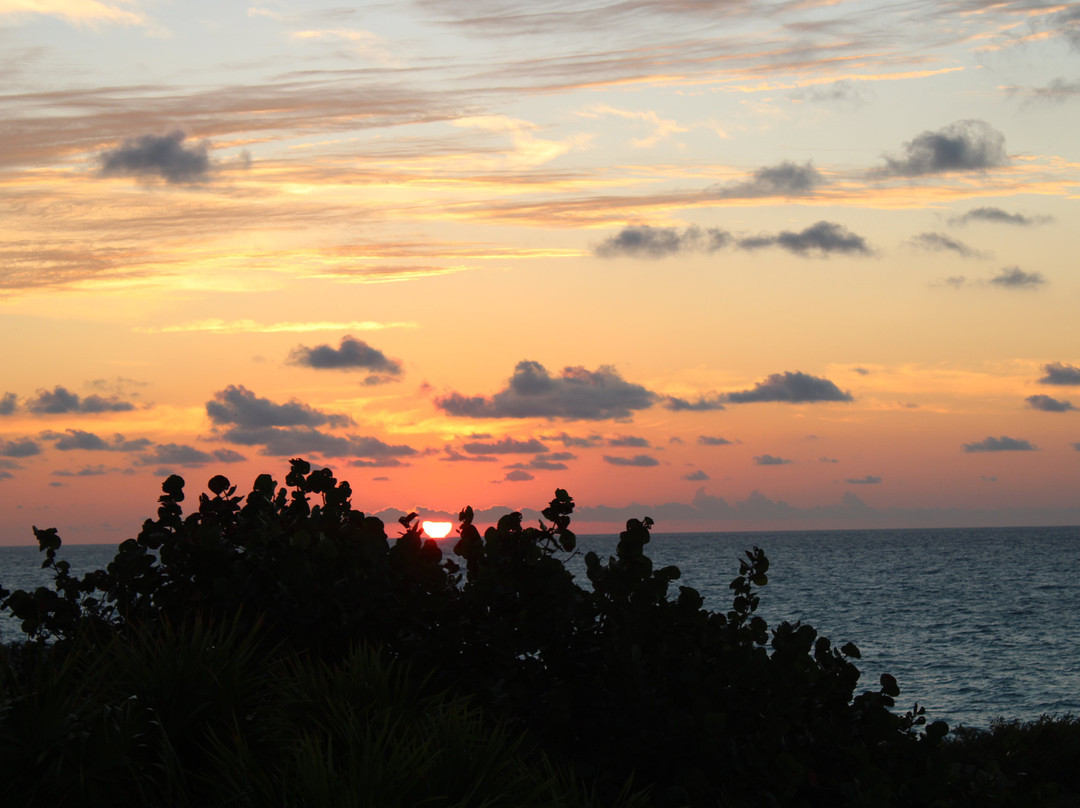 Bella Isla Resort主图