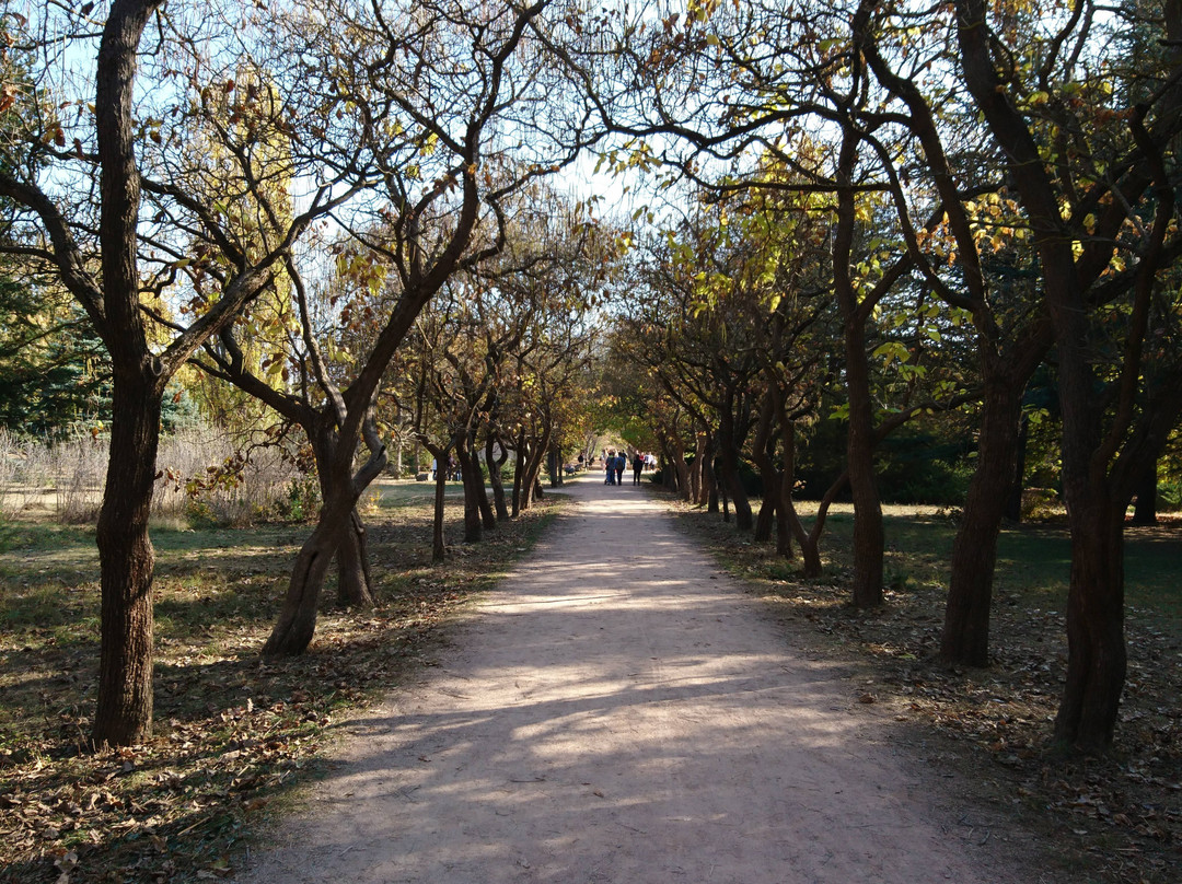 Salgirka City Park-辛非洛普必去景点