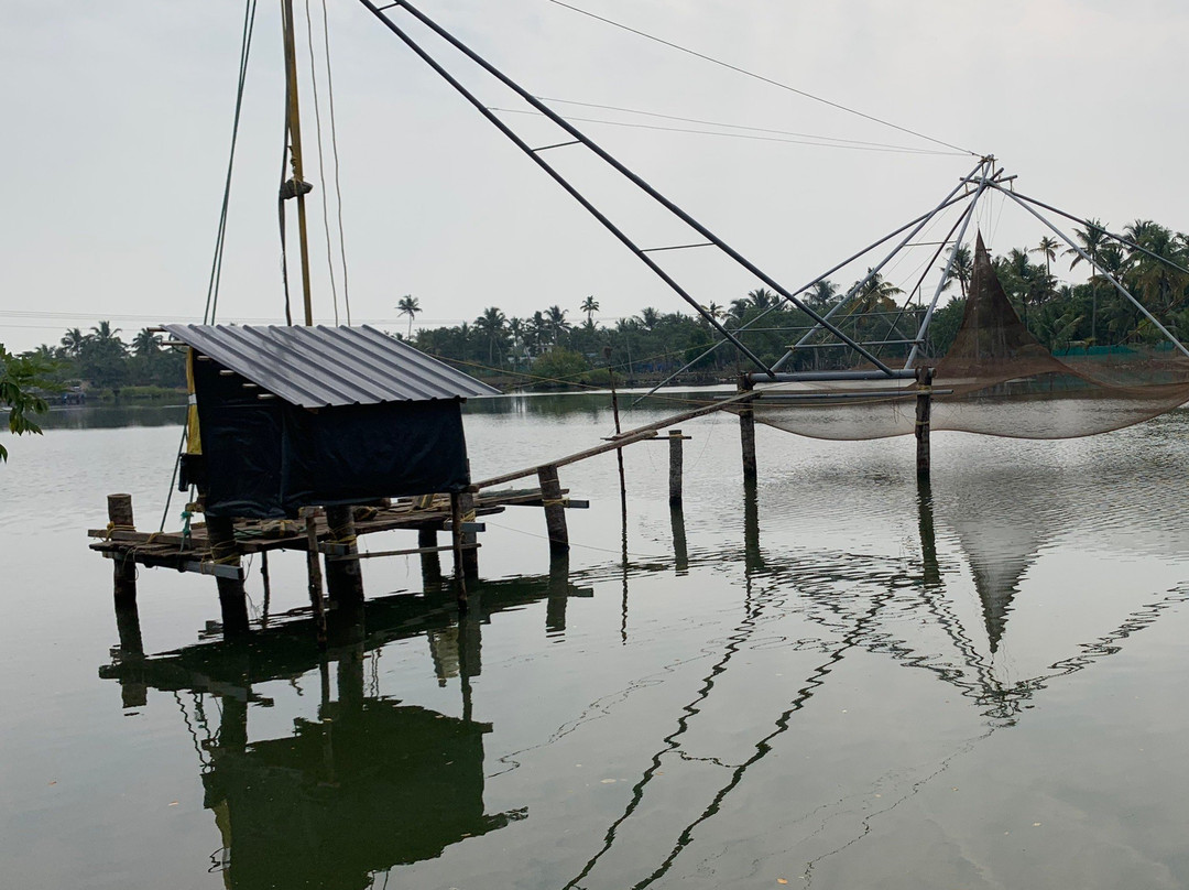 Godwit Adventures - Village Bike tour & Bidwatching-阿拉普扎必去景点