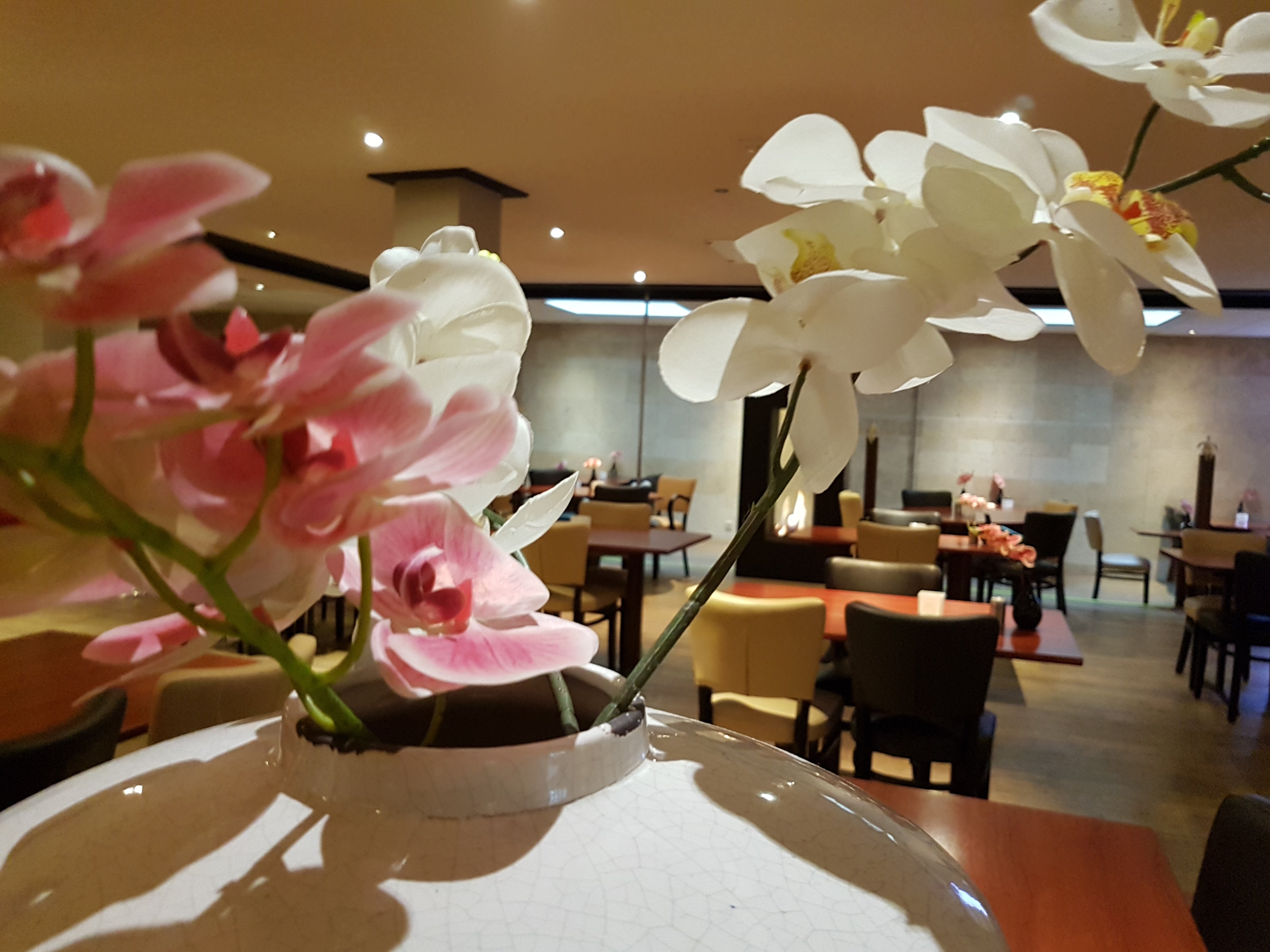 金色郁金香酒店-餐饮