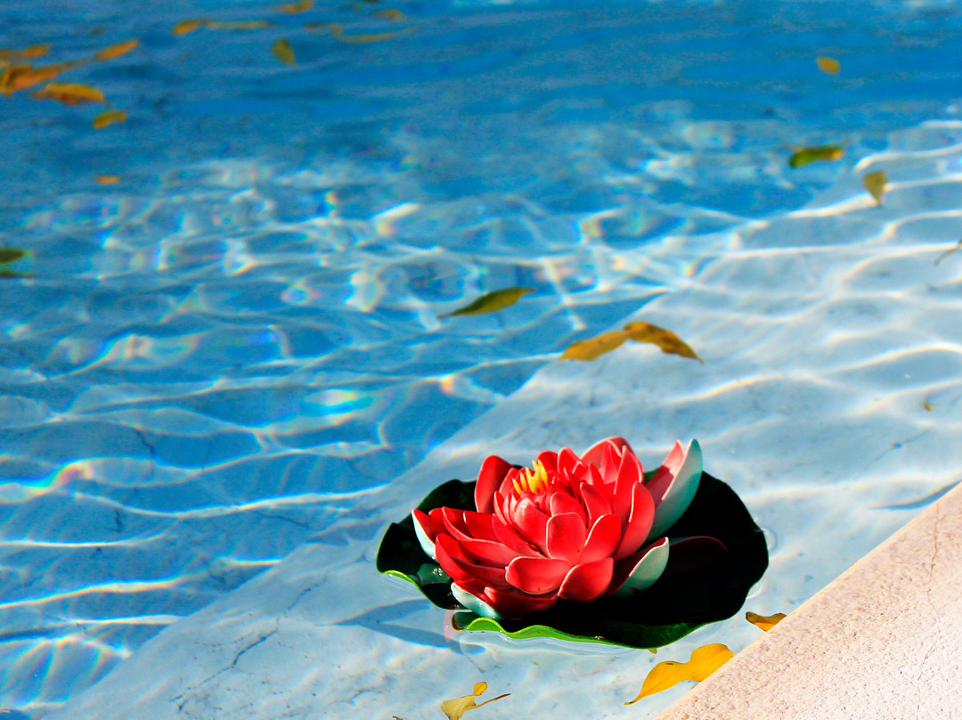 B&B il Baiocco主图