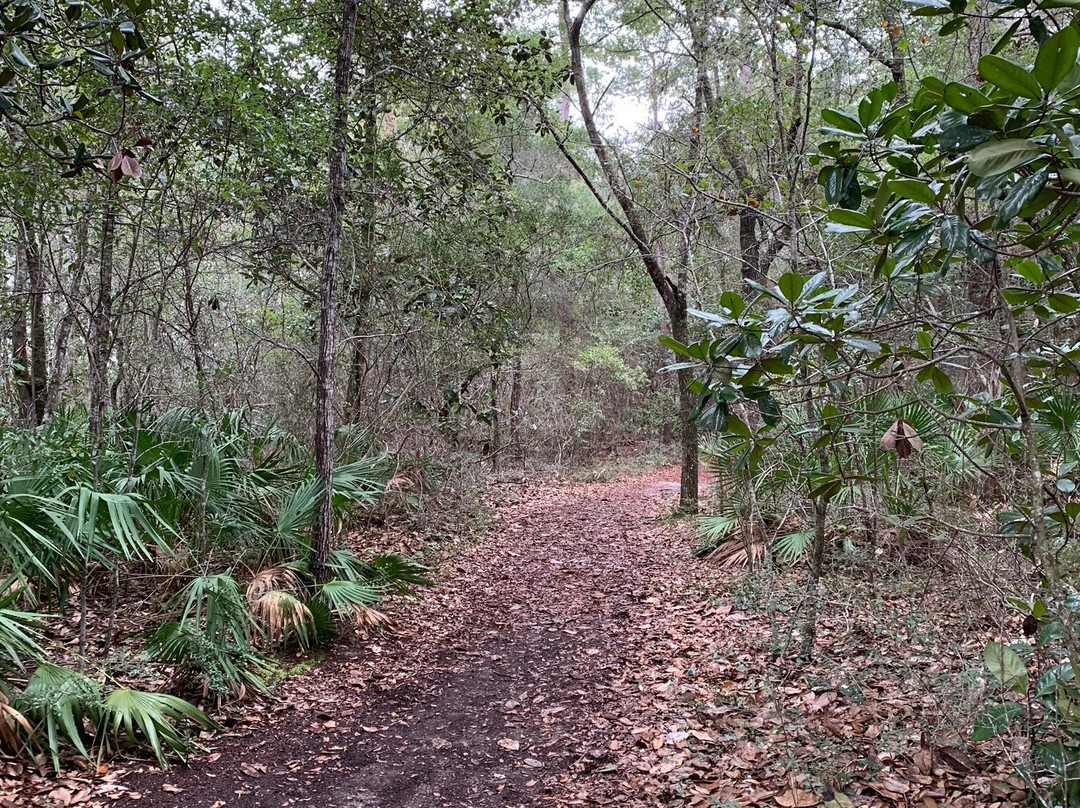 Fred Gannon Rocky Bayou State Park景点图片