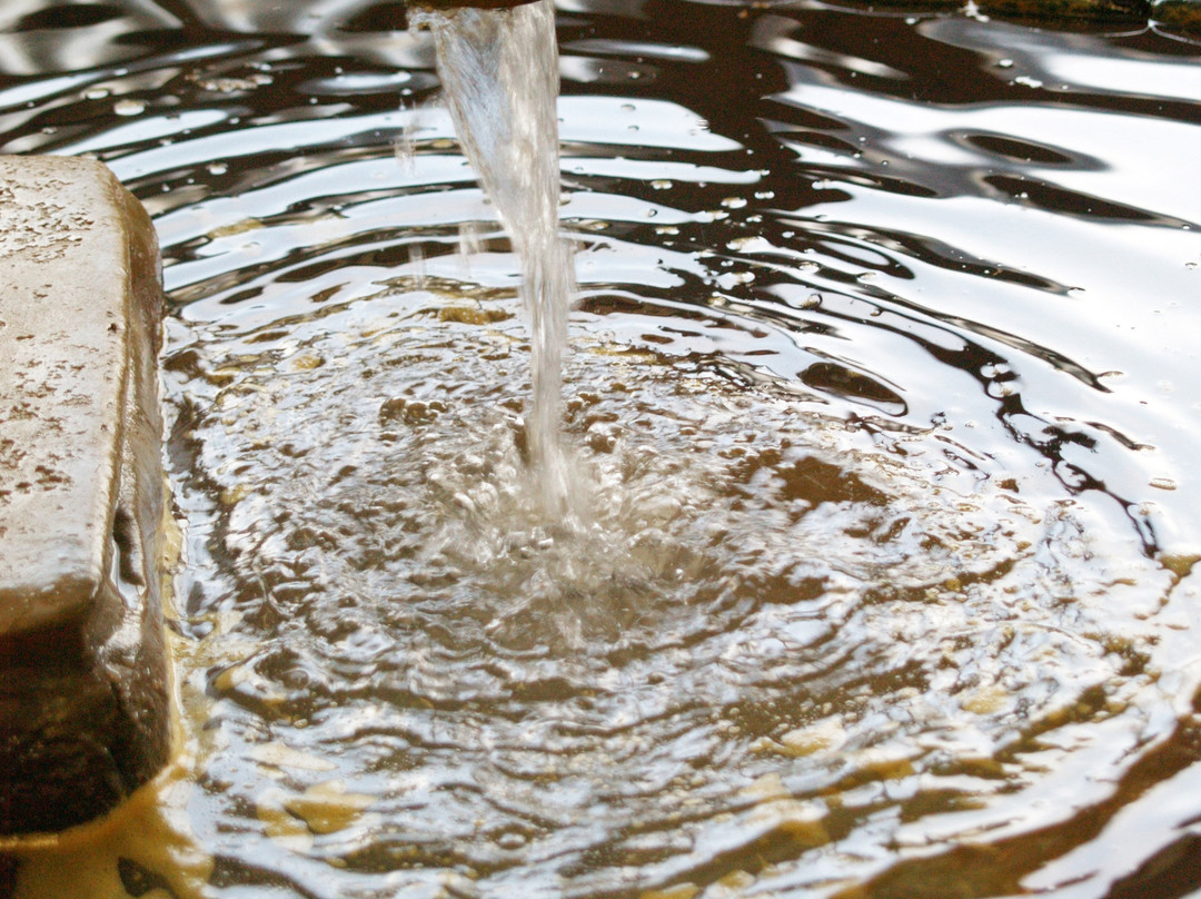 Toyotomi Onsen Fureai Center-丰富町必去景点