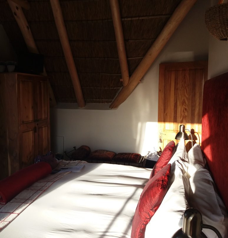 House of Braganza主图