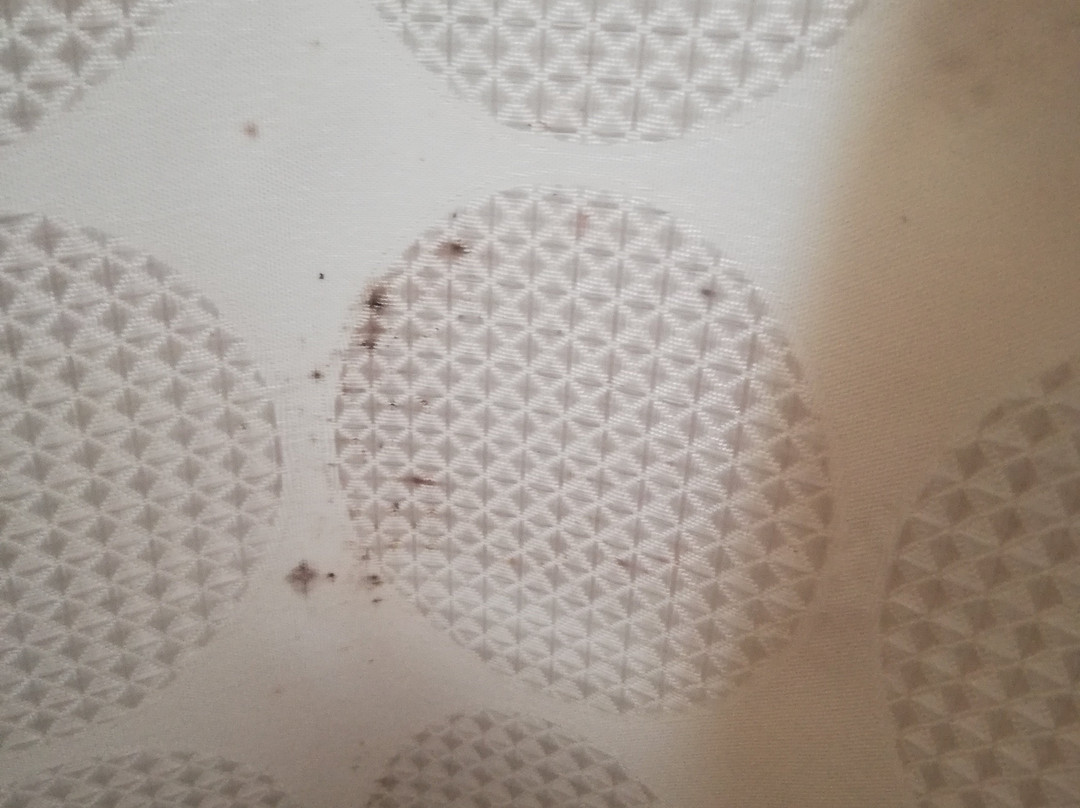 Hotel el Ciervo主图