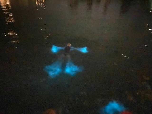 Peace of Cayman-Rum Point必去景点