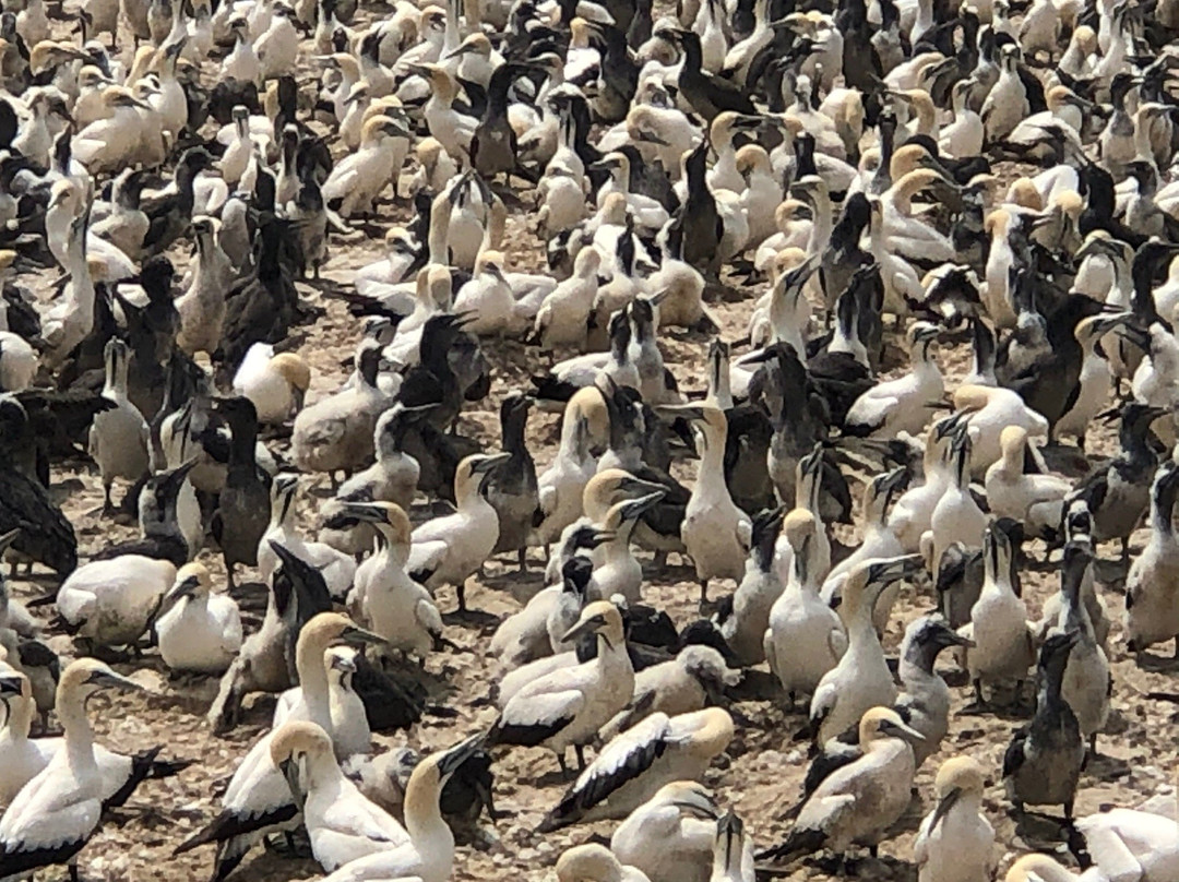 Bird Island Nature Reserve景点图片