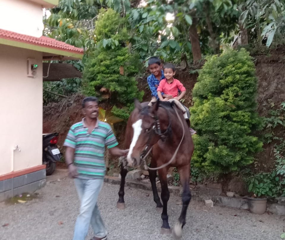 Kalvari Mount-伊杜基必去景点