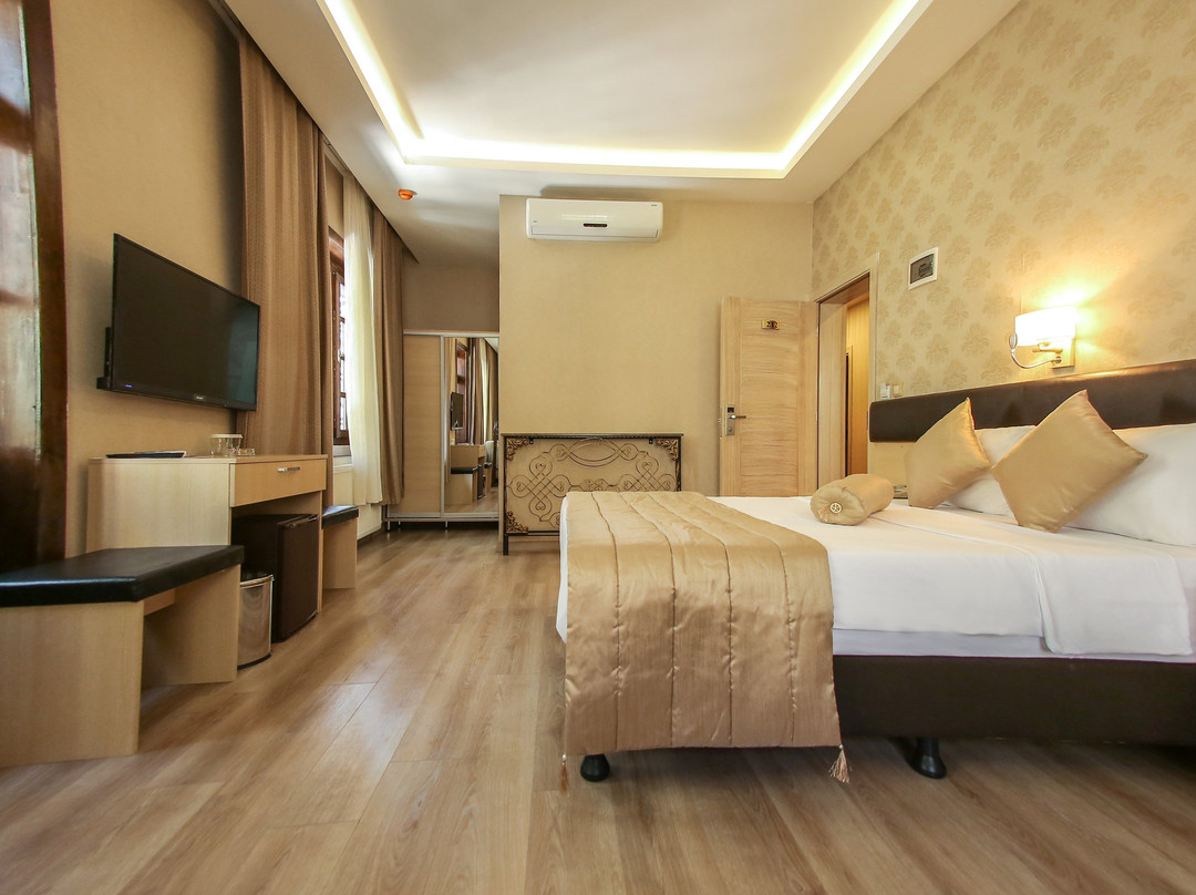 Payidar Hotel主图