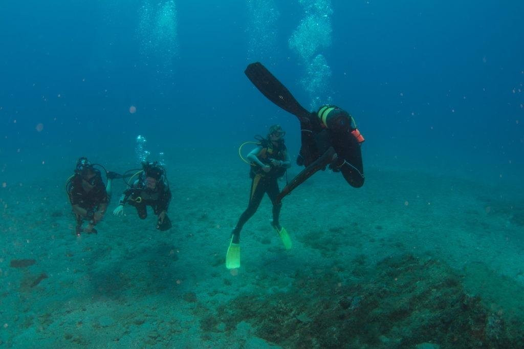 Eco Diving Center-Ammoudara必去景点
