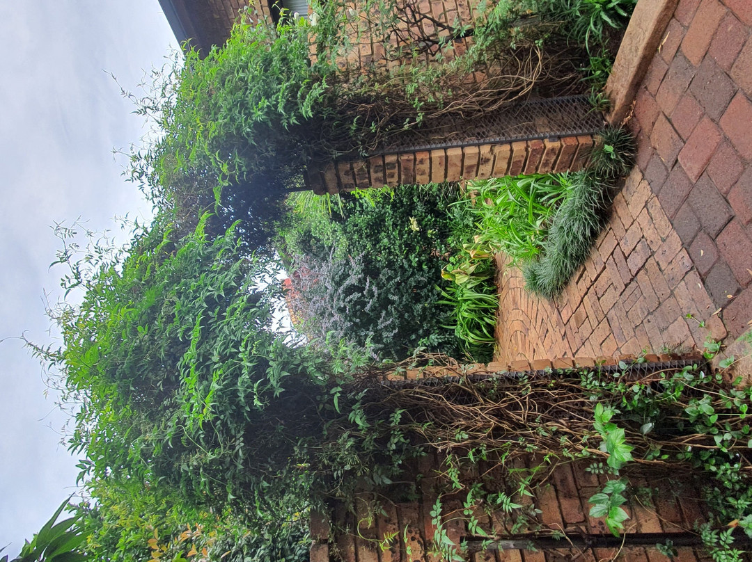 Aero Lodge Guest House主图