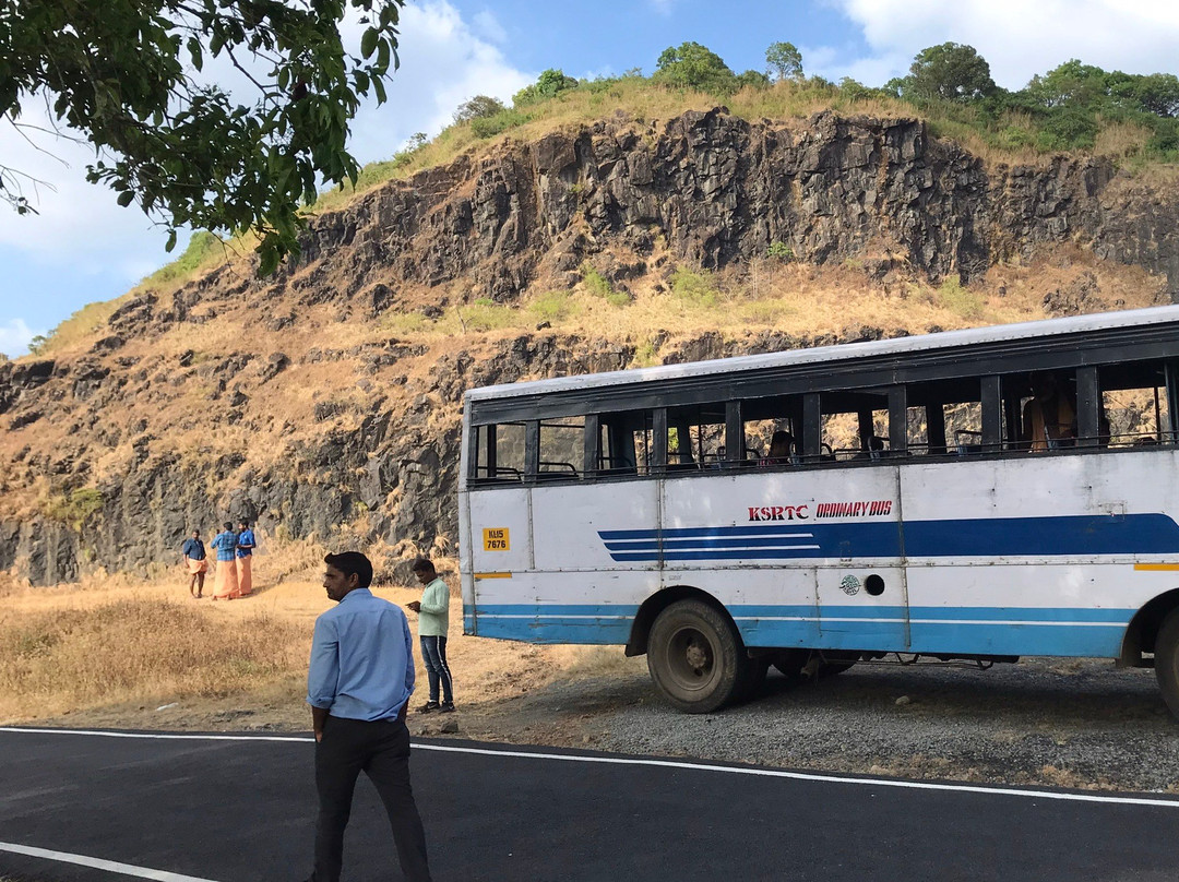 Gavi Forest-帖可迪必去景点