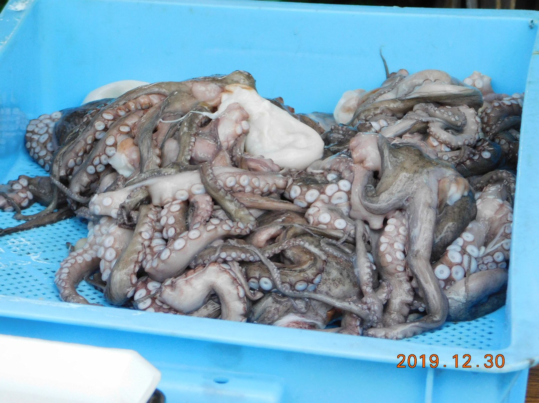 Okadaura Fishing Port-泉南市必去景点