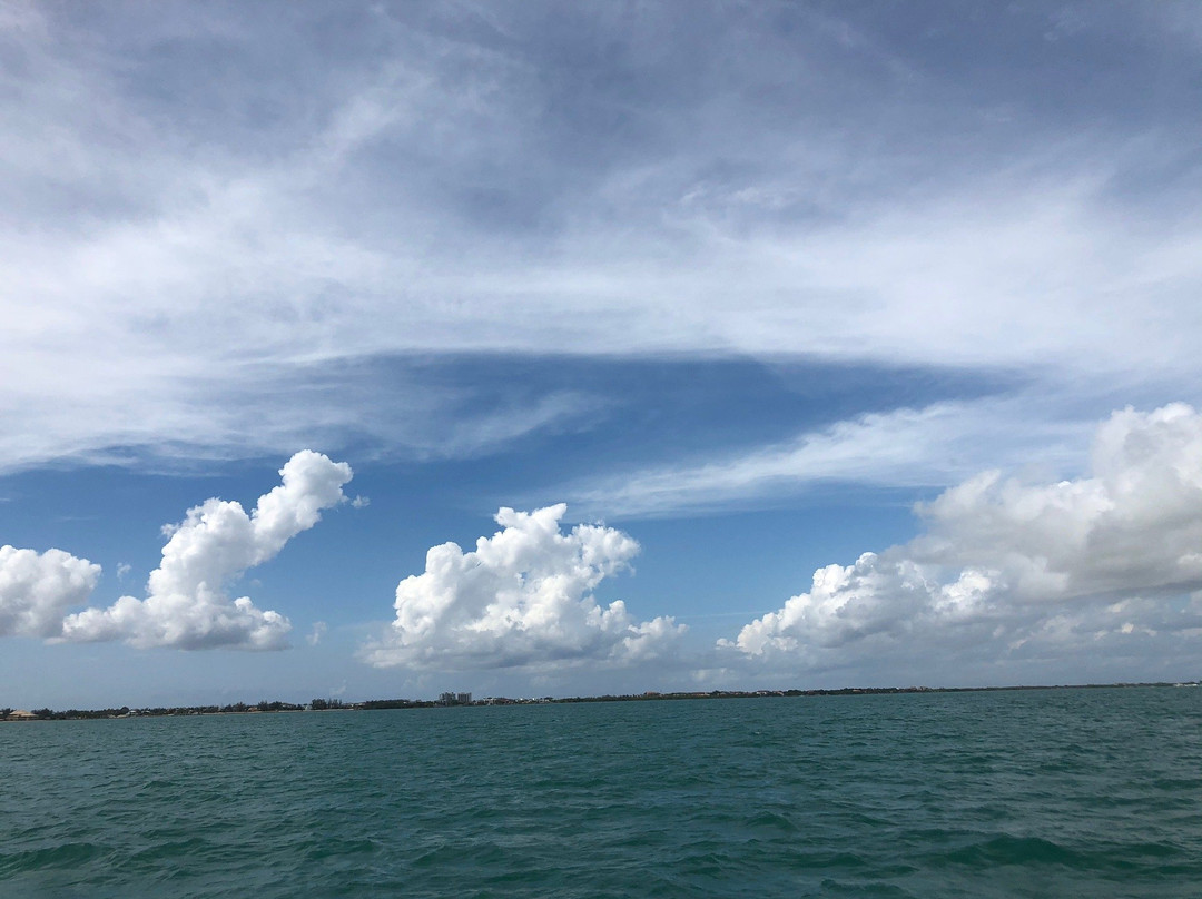 Point Blue Sailing-Camana Bay必去景点