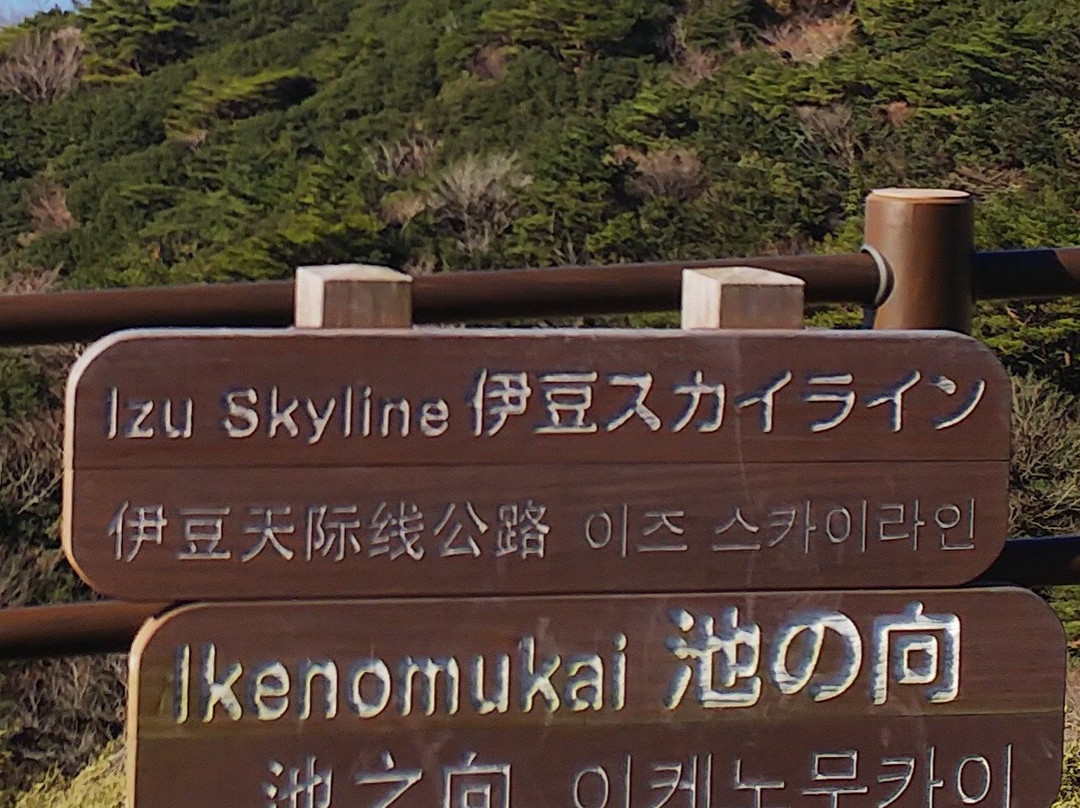 Izu Skyline Ike no Mukai Parking Lot-伊豆之国市必去景点
