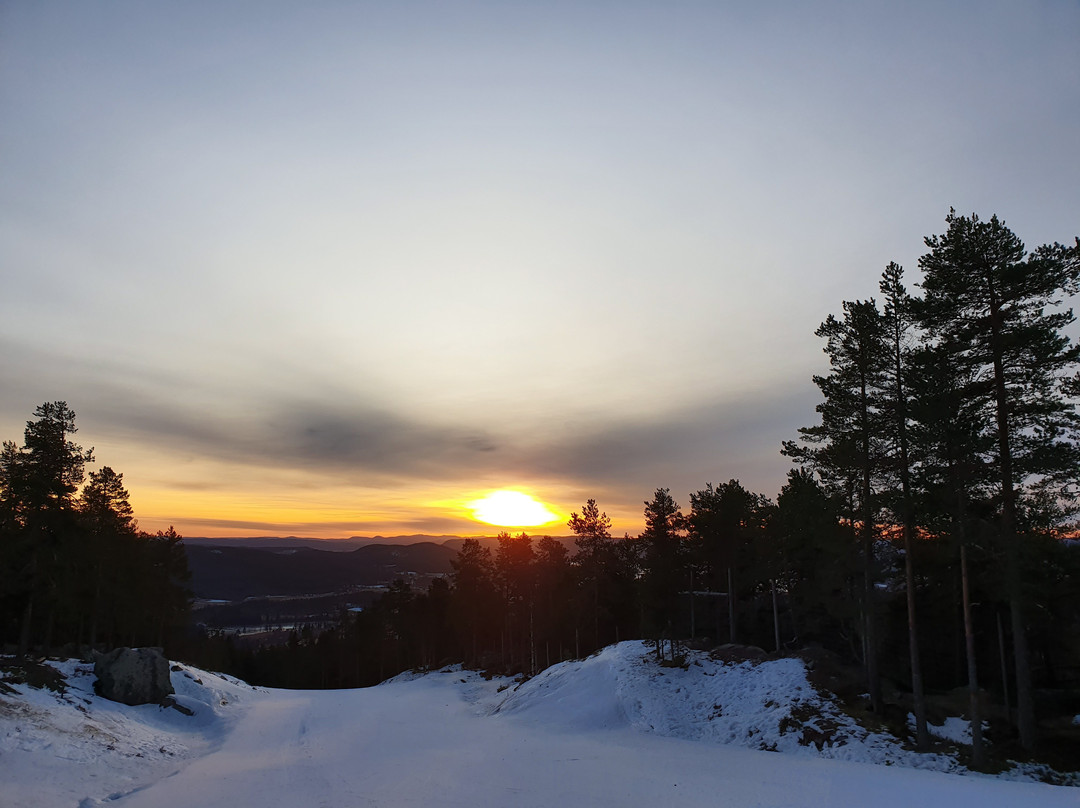 Järvsöbacken景点图片
