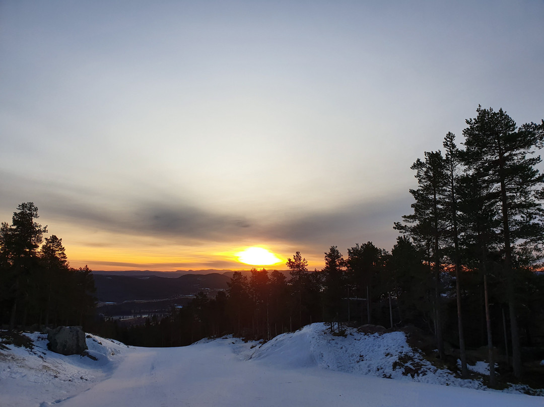 Järvsöbacken-Jarvso必去景点