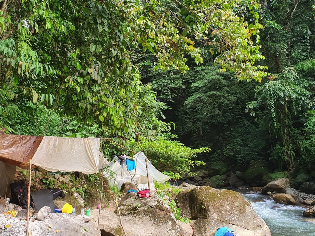 Ketambe Jungle Trekking & Day Tours-Ketambe必去景点