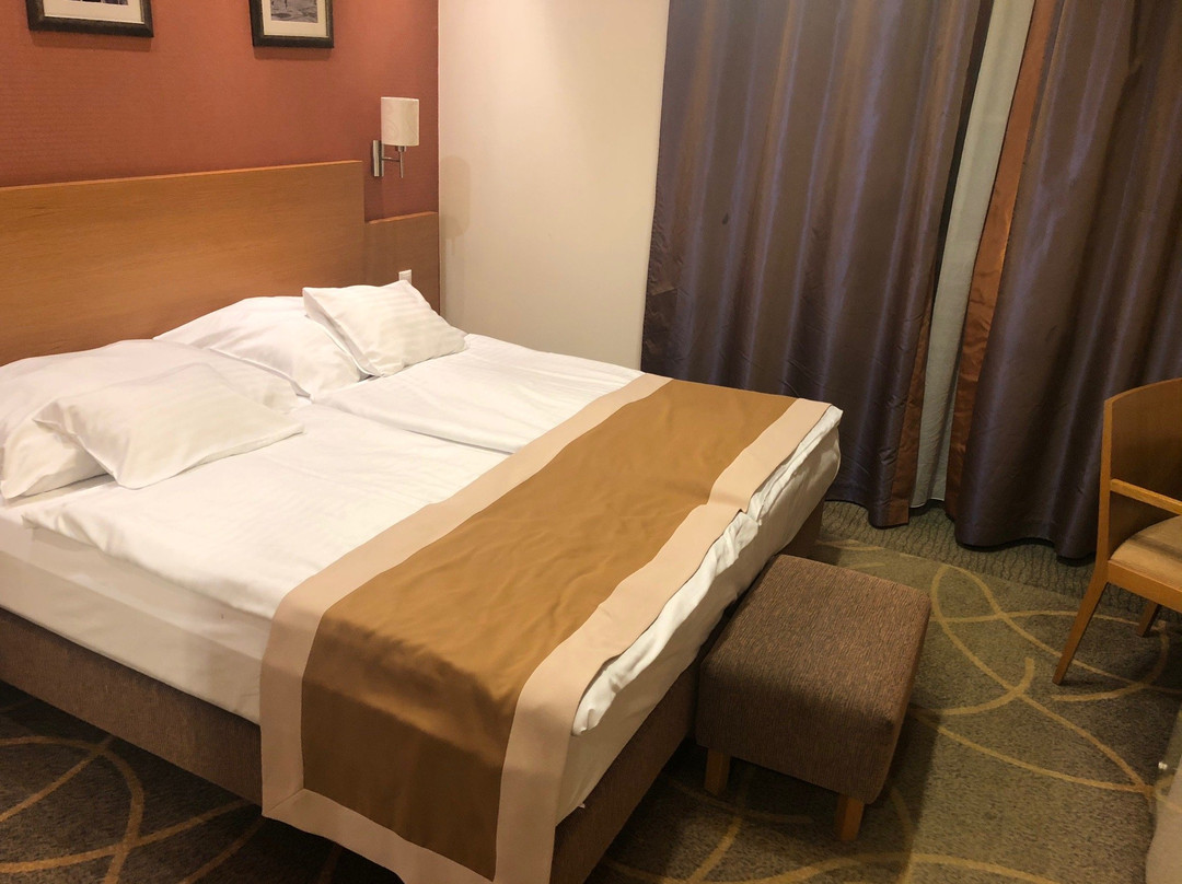 City Hotel Miskolc主图