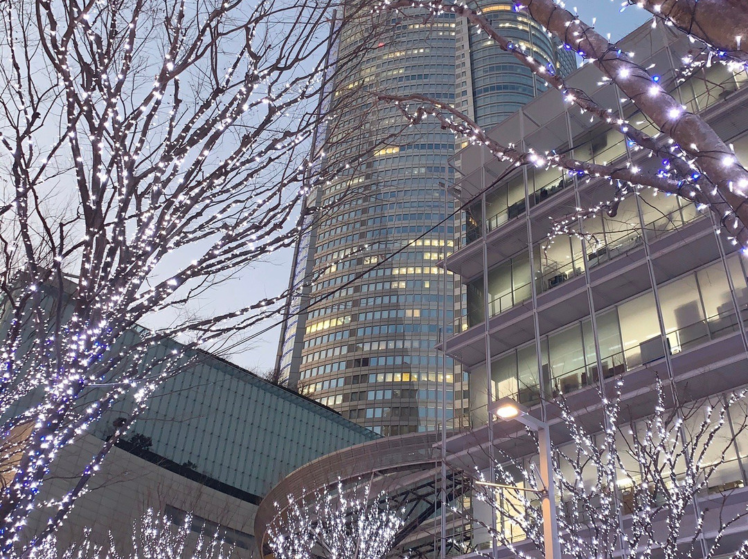 Roppongi Keyakizaka Dori-Roppongi必去景点