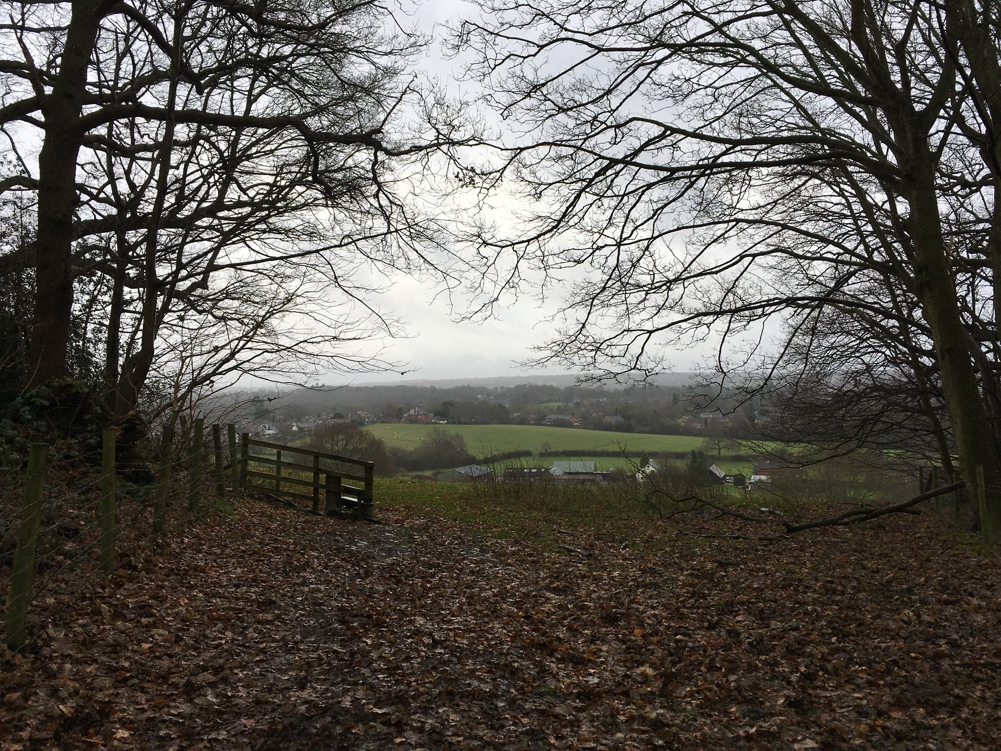 Nutfield Priory Hotel & Spa-浴室