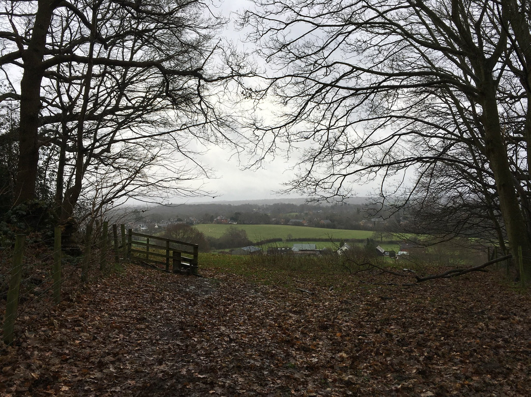 Nutfield Priory Hotel & Spa主图