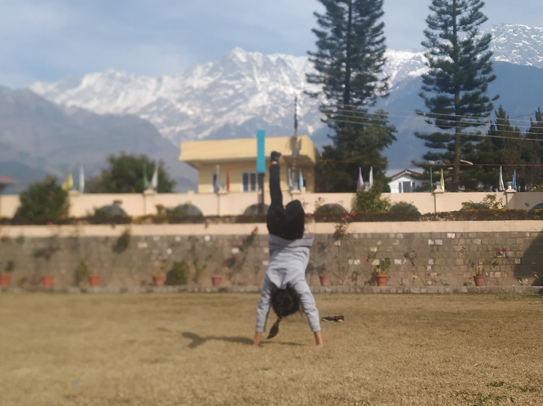 Hotel Dharamshala Paradise主图