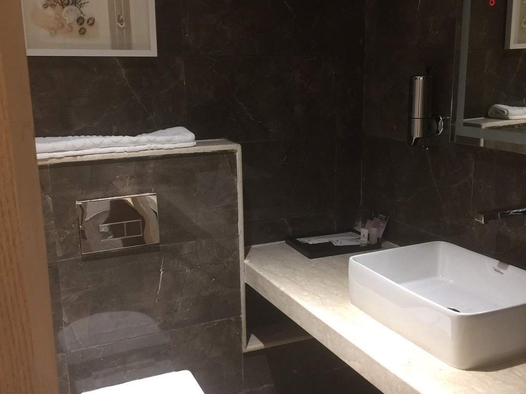 Hotel Midori Vithalapur主图