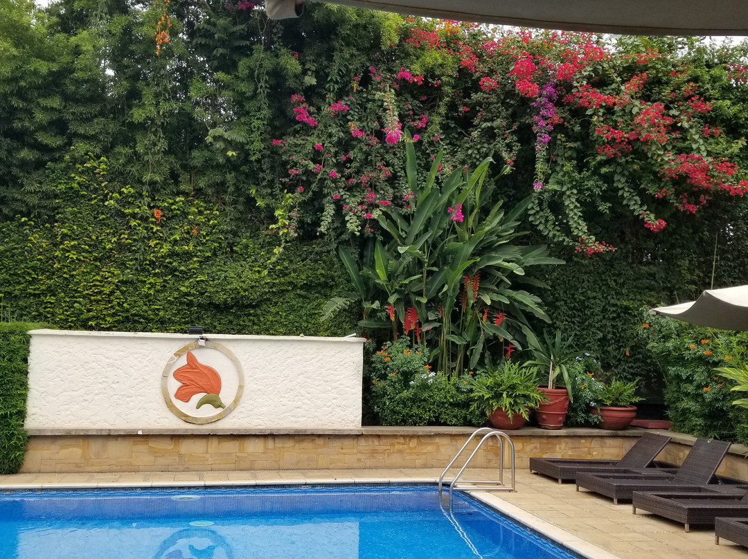 非洲郁金香宾馆主图