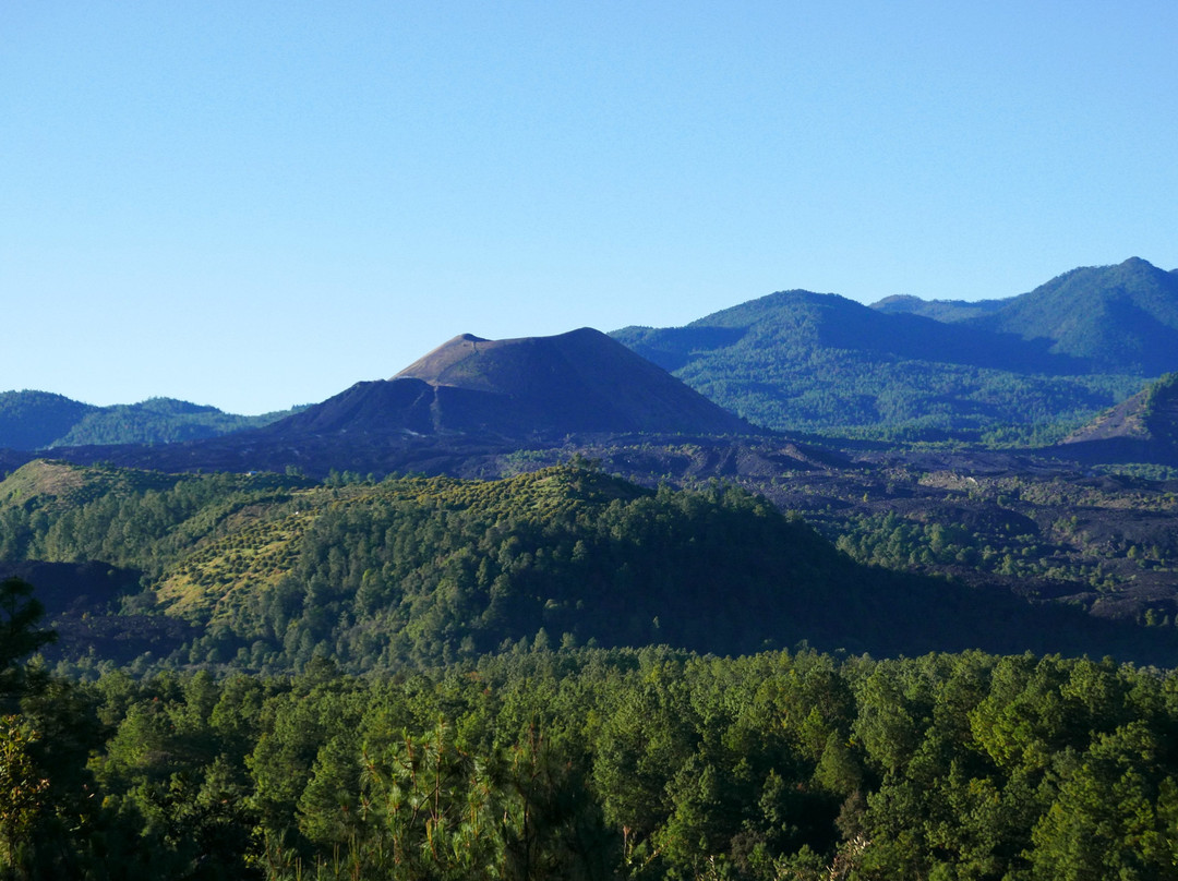 Paricutín Volcano景点图片