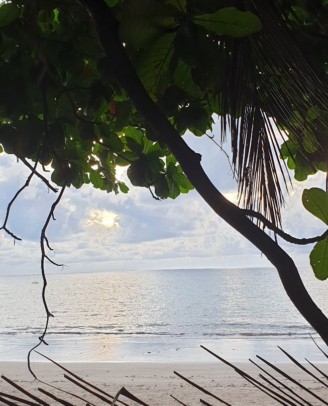 Les Pieds dans l'Eau主图