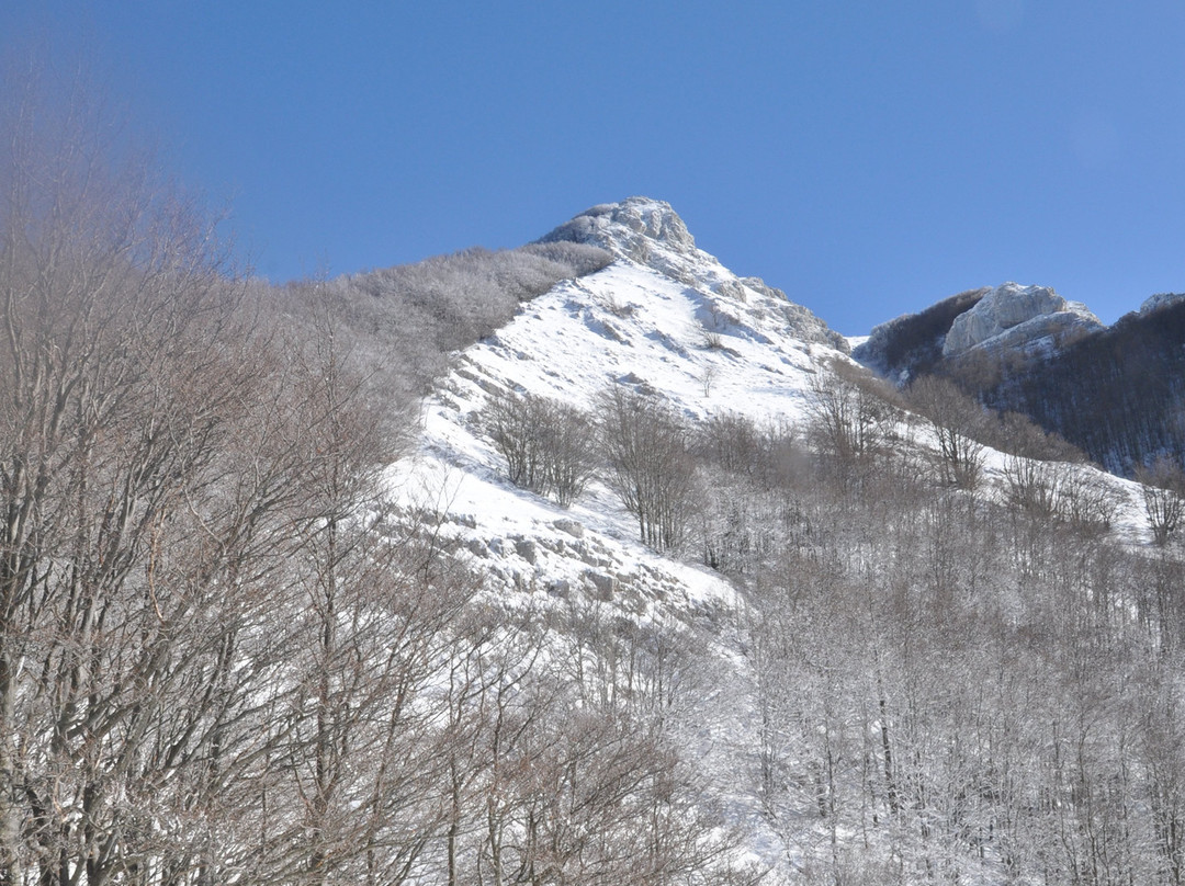 Monte Terminio-阿韦利诺必去景点