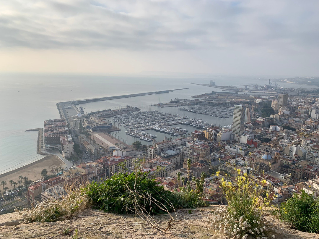 Puerto Deportivo景点图片