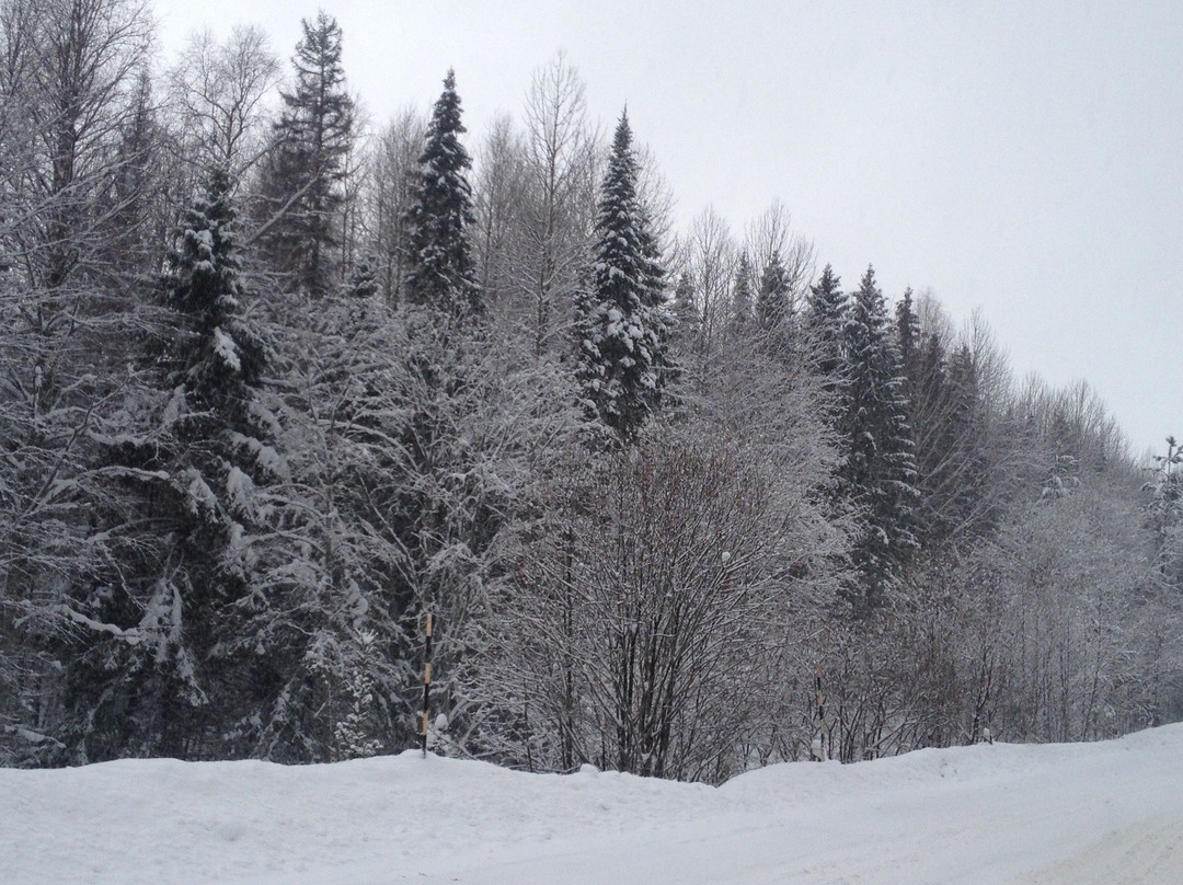 Upsha旅游攻略图片