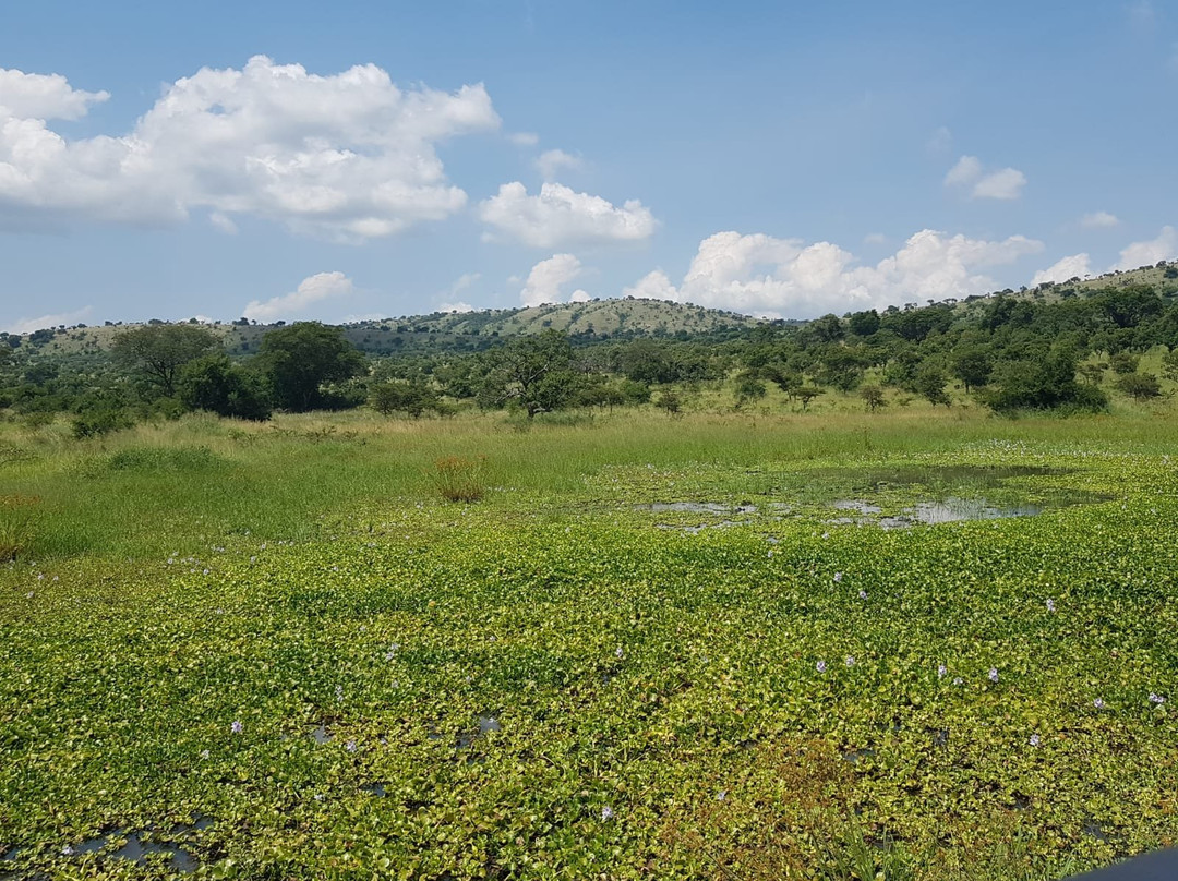 A Step Into Nature Tours-吉佳利必去景点