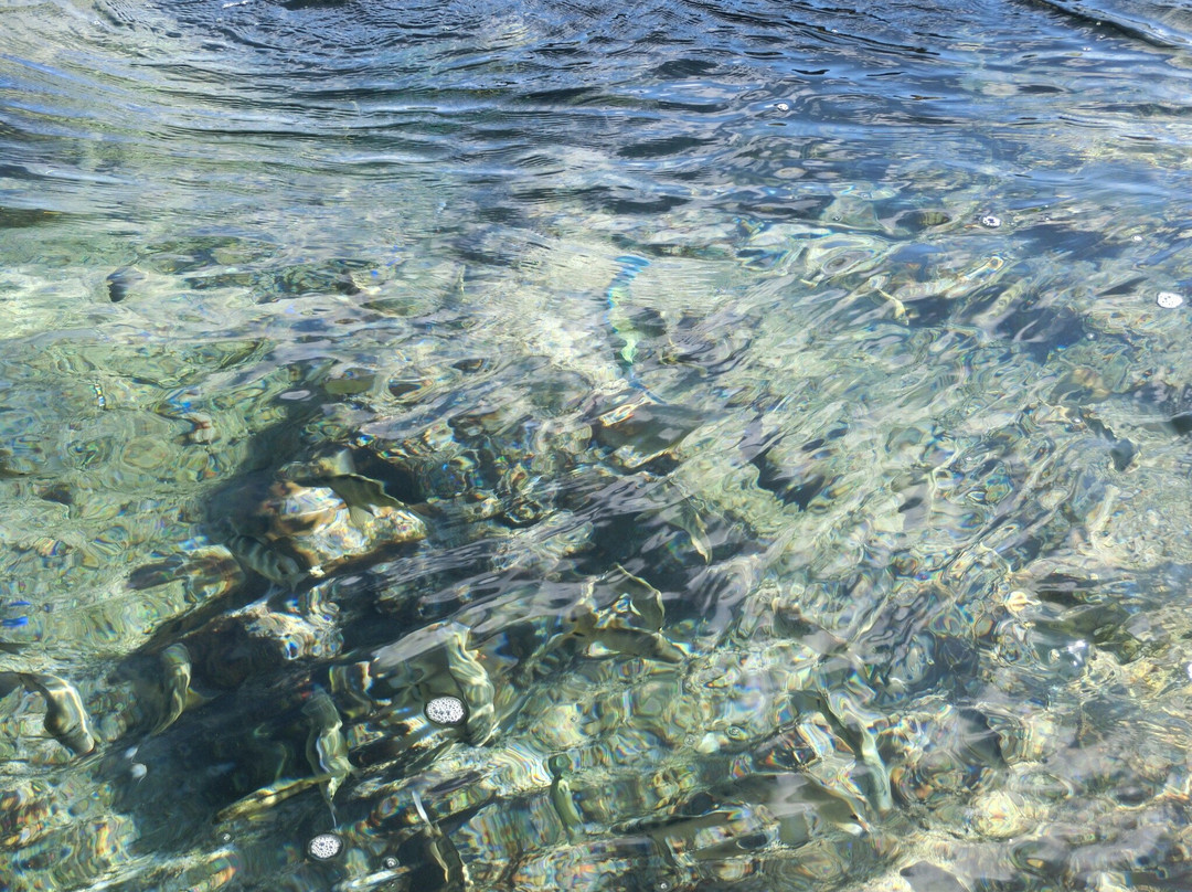 Tropical Fish's Home-久米岛町必去景点