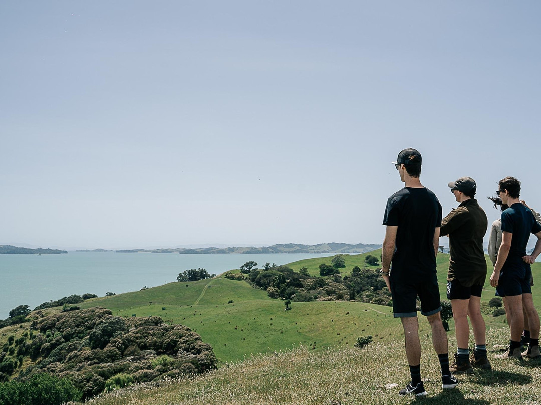 Wild Adventures New Zealand - Auckland Hiking Tours-奥克兰必去景点